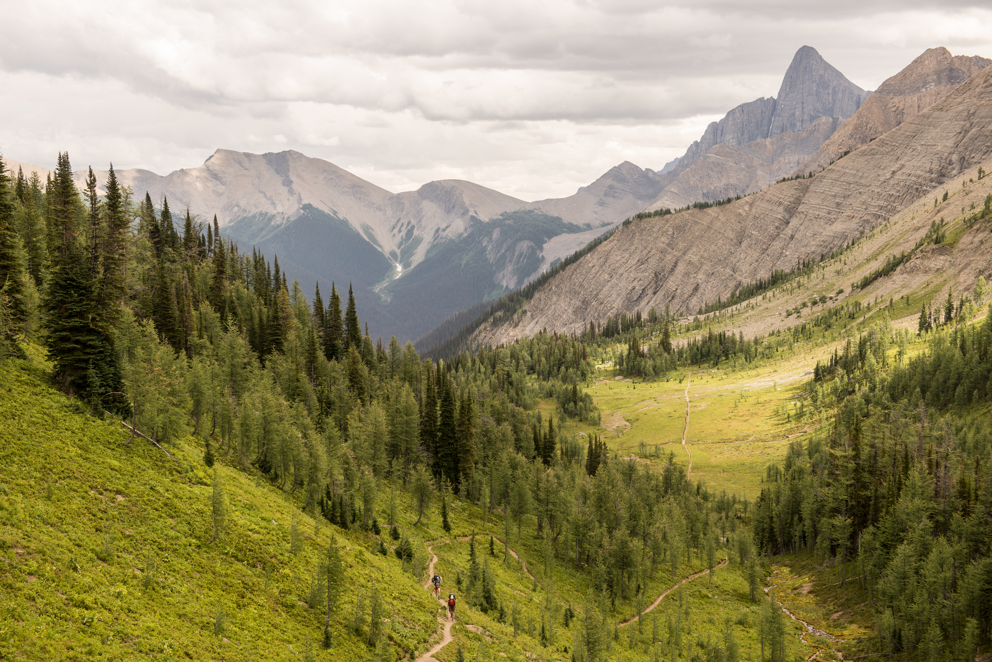 Kootenay National Park | Kari Medig