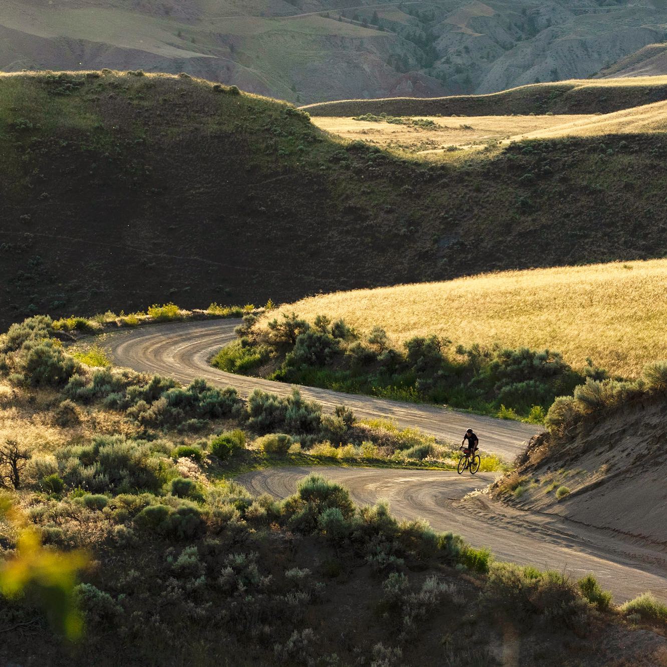 photo by tuttigravelinn caption reads: tutti gravel inn season 3...coming soon 🤟
#gravelisthenewgold #tuttigravelinn 

We are stoked to ride and open up the doors to TGI for the 2022 season! 

Giddy'up!

📸 eyeroam 

#gravel #gravelcycling #roadslikethese #whereweride #bike #gravellife #cariboo #graveltravel #gravelroads #cycling #biketrip #cyclingshot #explore #gravelbike